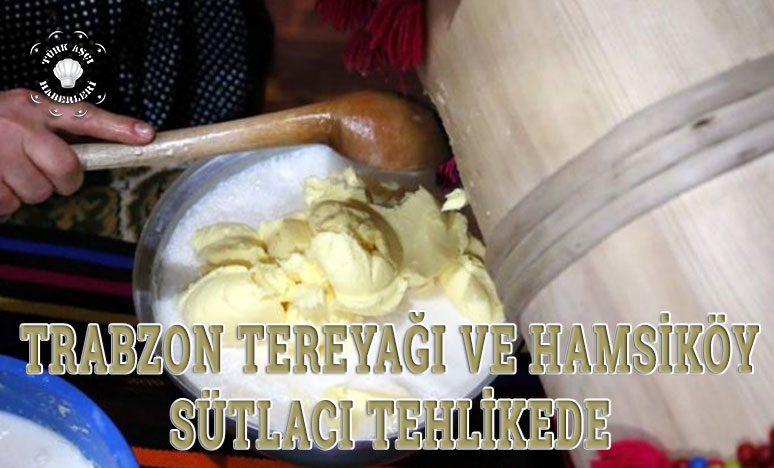 Trabzon Tereyağı Ve Hamsiköy Sütlacı Tehlikede