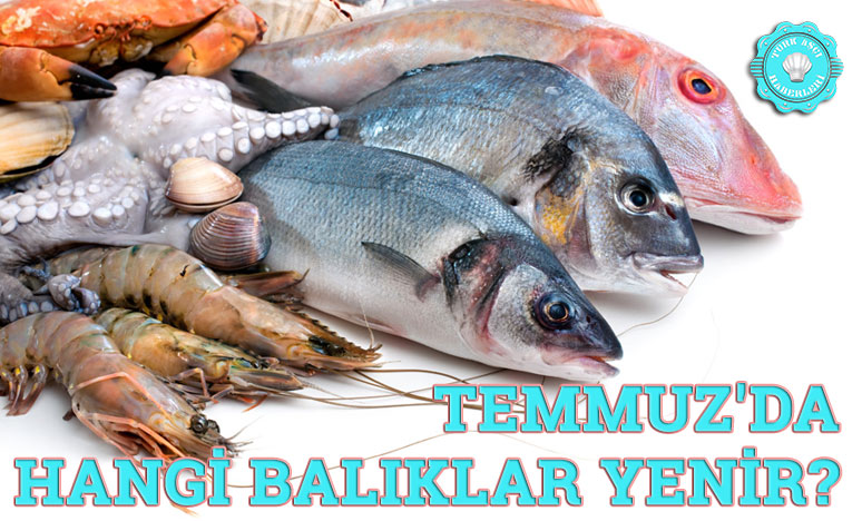 Temmuz'da Hangi Balıklar Yenir?