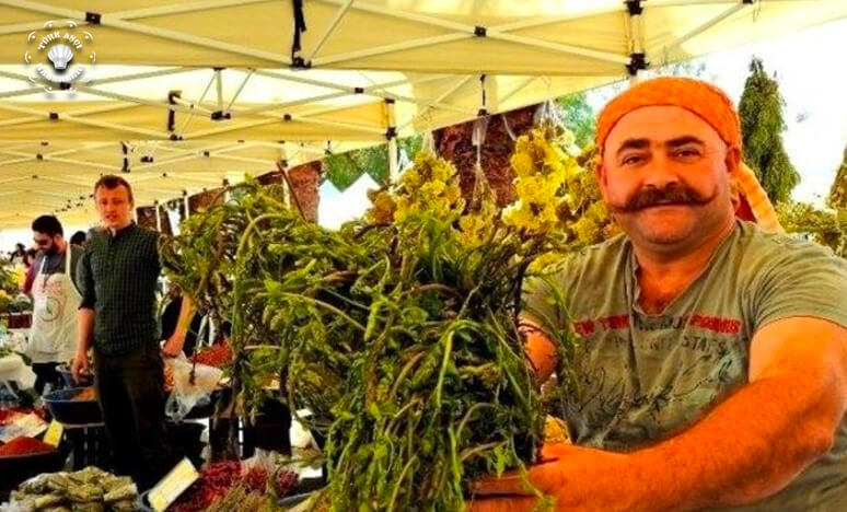 Türkiyenin En İyi Ve En Şişman Festivalleri...