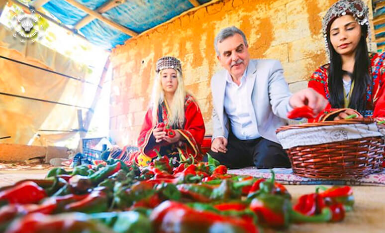 Türkiyenin En İyi Ve En Şişman Festivalleri...