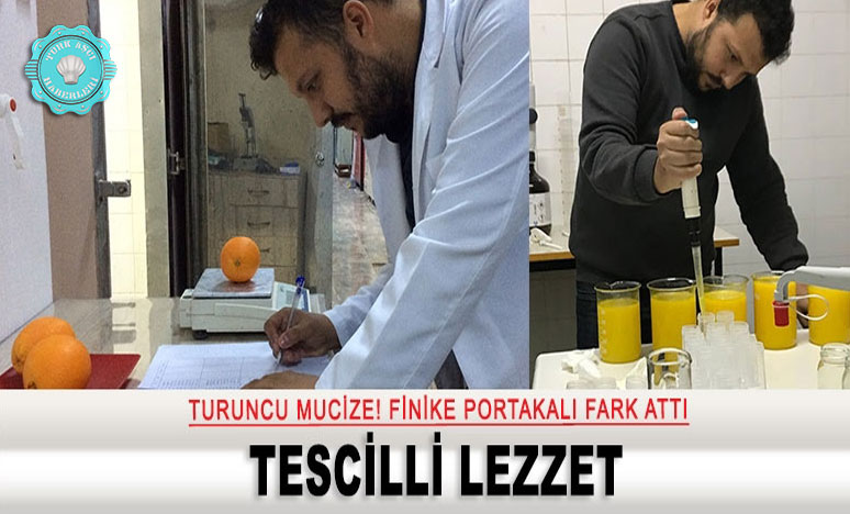 Turuncu Mucize! 