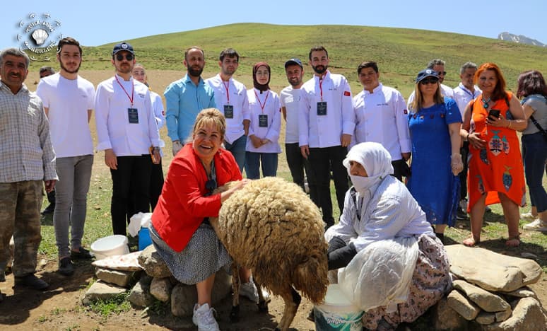 Ünlü Şefler Yaylalarda Otlu Peynir Üretimini Araştırdı