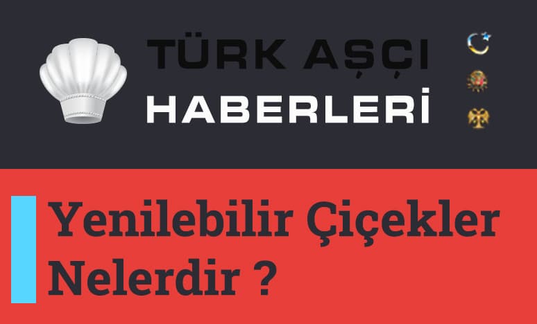 Yenilebilir Çiçekler Nelerdir?