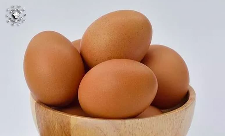 Yumurta Çocuklar İçin Niye Faydalı? Nasıl Pişirilir?...