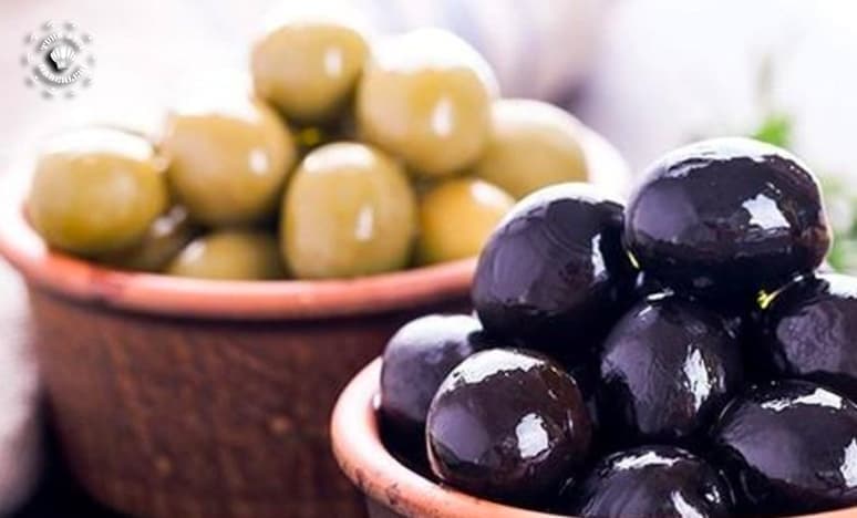 Zeytin Nedir? Zeytinin Özellikleri Nelerdir?