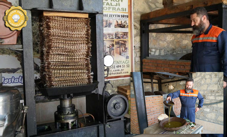 Ayvalık'ta yeni sezon 'zeytin sütü' üretildi