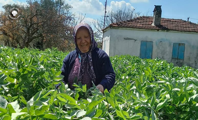 Bahar Salataları Nasıl Yapılır? "Fazile Paksoy"