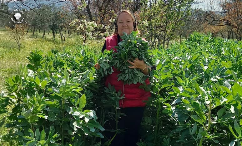 Bahar Salataları Nasıl Yapılır? "Fazile Paksoy"