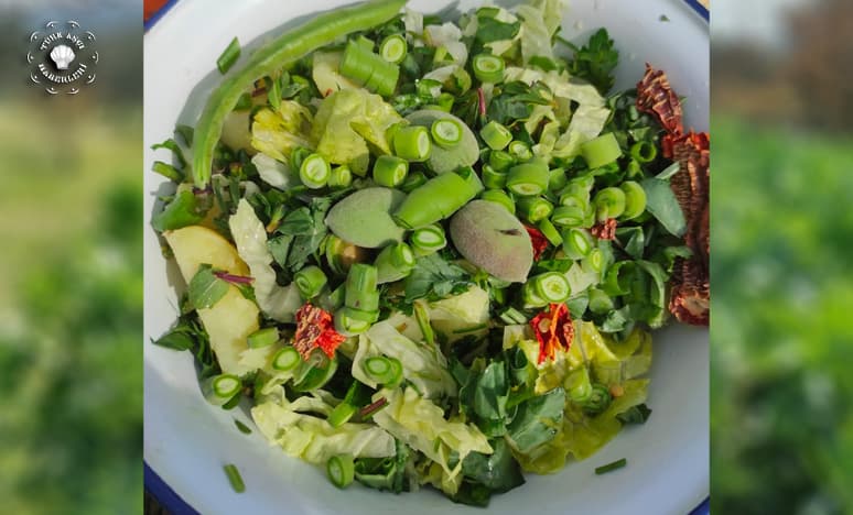 Bahar Salataları Nasıl Yapılır? "Fazile Paksoy"