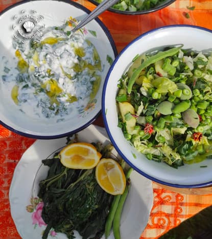 Bahar Salataları Nasıl Yapılır? "Fazile Paksoy"