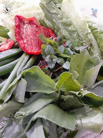Bakla Yaprağı Salatası