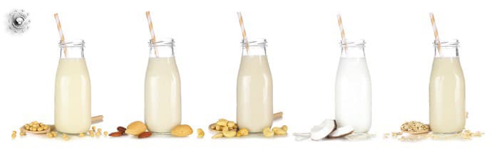 Bitkisel Süt Çeşitleri Nelerdir?