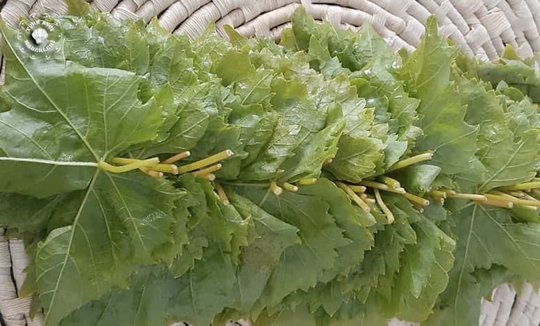 En İyi Dolma Ve Sarma Tariflerinden Çiğ Dolma Nasıl Yapılır?