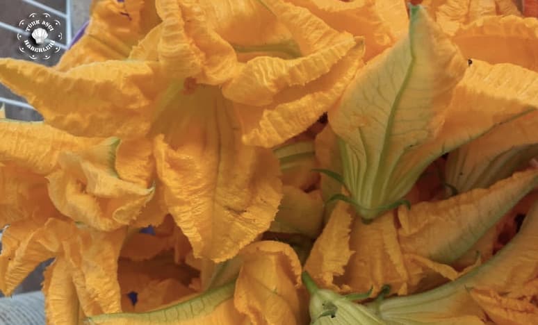 Ege'nin Muhteşem Zeytinyağlısı "Kabak Çiçeği Dolması"