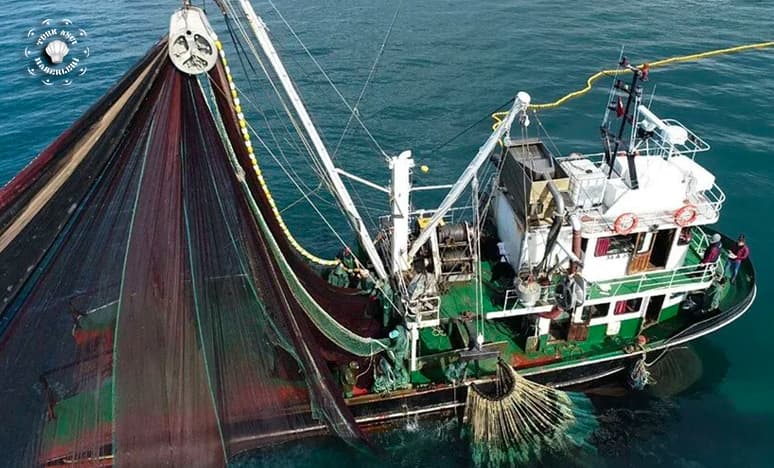 Karadeniz'de Balık Stokları Ne Kadar Yeterli?