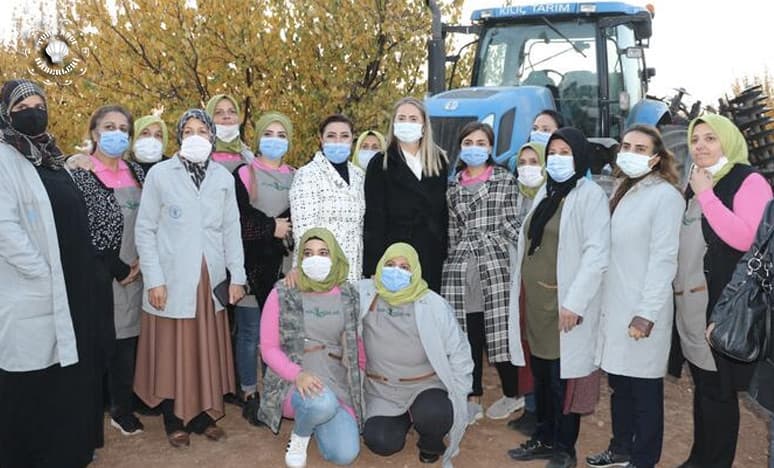 Mardin Ovasında Sorgül Tohumu 4. Kez Toprakla Buluştu...