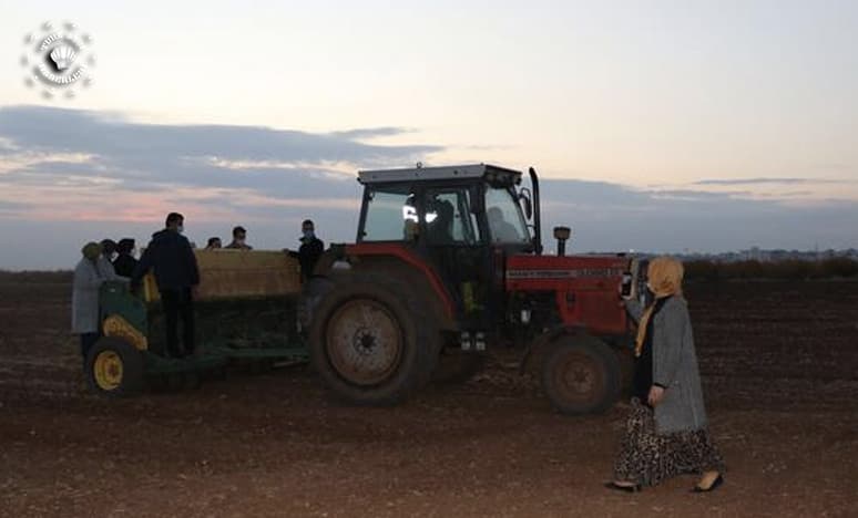 Mardin Ovasında Sorgül Tohumu 4. Kez Toprakla Buluştu...