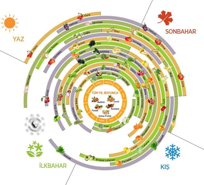 Mevsimine Göre Meyveler Ve Sebzeler Nelerdir?
