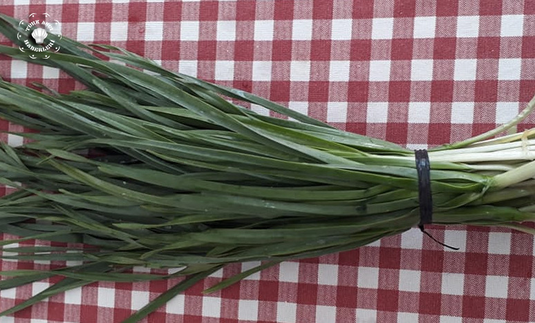 Muğla Mutfağında En İyi Lezzetlerden &quot;Milas Böreği&quot;