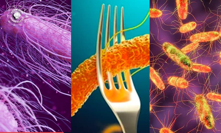 Çapraz Bulaşı İle İlgili Bildiğiniz Her Şeyi Unutun!!! 