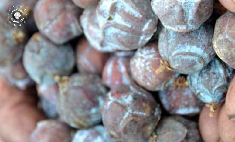 Tamamen Doğal Ve Şifa Kaynağı "Andız Pekmezi"