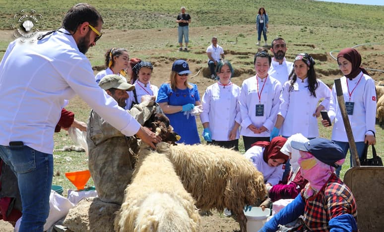 Ünlü Şefler Yaylalarda Otlu Peynir Üretimini Araştırdı....