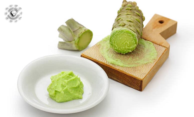 Wasabi Nedir? Özellikleri Nelerdir? Nerelerde Kullanılır?