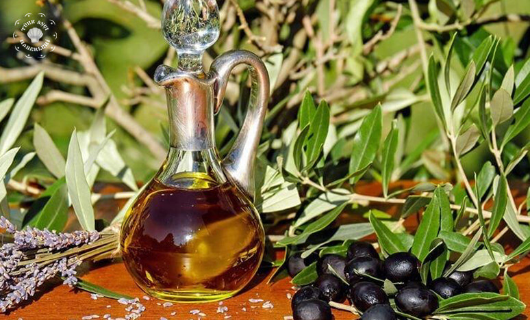 Zeytin Çeşitleri Nelerdir? Zeytin Ağacı Nasıl Yetiştirilir?